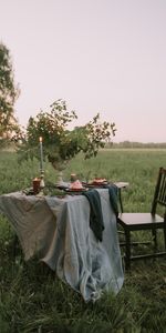 Miscellanea,Chair,Table,Lawn,Miscellaneous,Nature,Romance