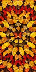 Miscellanea,Color,Wings,Coloured,Miscellaneous,Patterns,Butterflies