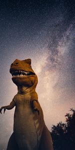 Miscellanea,Dinosaur,Universe,Starry Sky,Night,Miscellaneous