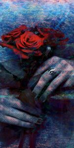 Double Exposition,Mains,Photoshop,Divers,Une Rose,Fille,Rose