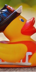 Canard En Caoutchouc,Canard En Plastique,Jouet,Canard,Divers