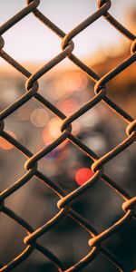 Miscellanea,Fence,Glare,Lattice,Trellis,Miscellaneous,Grid