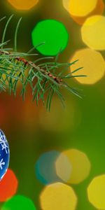 Miscellanea,Fir,Ball,Christmas Tree,Bokeh,Boquet,Needle Decoration,New Year,Miscellaneous,Branch,Christmas Decorations