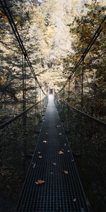 Miscellanea,Forest,Bridge,Fallen Leaves,Fallen Foliage,Suspension Bridge,Trees,Miscellaneous