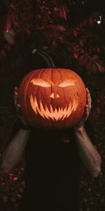 Miscellanea,Hands,Miscellaneous,Pumpkin,Halloween