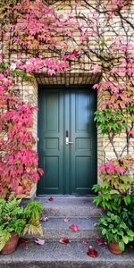 Escaleras,Miscelánea,Escalera,Una Puerta,La Puerta,Otoño,Misceláneo,Plantas