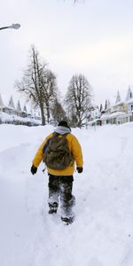 Miscelánea,Búfalo,Nevada,Sigue Cayendo Mucha Nieve,La Nieve Pesada Sigue Cayendo,Misceláneo,2014