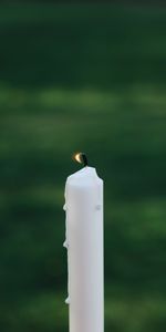 Miscellanea,Miscellaneous,Blur,Smooth,Candle,Flame,Focus,Fire