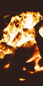 Miscellanea,Miscellaneous,Blur,Smooth,Firewood,Fire,Flame,Dark,Bonfire