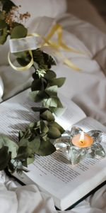 Miscellanea,Miscellaneous,Book,Candle,Branch