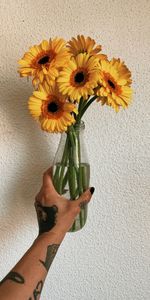 Miscellanea,Miscellaneous,Bouquet,Gerbera,Hand,Tattoo