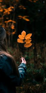 Miscellanea,Miscellaneous,Branch,Focus,Leaves,Hand,Girl