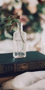 Miscellanea,Miscellaneous,Branches,Bouquet,Book,Vase,Bottle