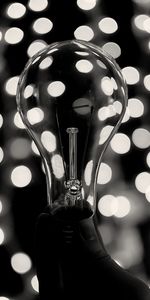 Miscellanea,Miscellaneous,Bw,Boquet,Glare,Chb,Bokeh,Light Bulb