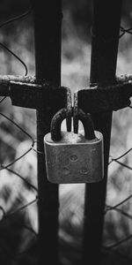 Miscellanea,Miscellaneous,Bw,Lattice,Lock,Fence,Chb,Trellis