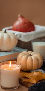 Miscellanea,Miscellaneous,Candle,Leaflet,Pumpkin,Books