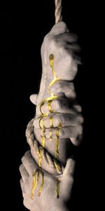 Miscellanea,Miscellaneous,Climb,Rope,Hands,Gold