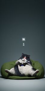 Miscellanea,Miscellaneous,Cool,Gamepad,Cat,Controller,Gamer,Funny