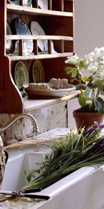 Miscellanea,Miscellaneous,Coziness,Comfort,Tables,Dining Room,Plants