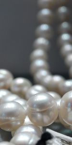 Miscellanea,Miscellaneous,Decoration,Pearl,Beads