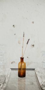 Miscellanea,Miscellaneous,Ears,Spikes,Vase,Glass