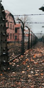 Miscellanea,Miscellaneous,Fence,Thorns,Spikes,Wire,Barbed Wire