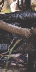 Miscellanea,Miscellaneous,Firewood,Logs,Ax,Axe