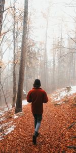 Miscellanea,Miscellaneous,Fog,Stroll,Human,Person,Loneliness,Forest