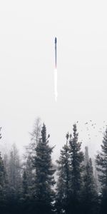 Miscellanea,Miscellaneous,Fog,Trees,Rocket,Smoke