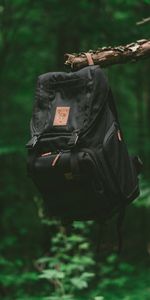 Miscellanea,Miscellaneous,Forest,Branch,Journey,Backpack,Rucksack