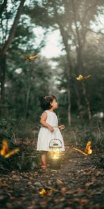 Miscellanea,Miscellaneous,Forest,Path,Child,Lantern,Lamp,Butterflies