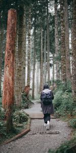 Forêt,Seule,Divers,Solitude,Fille,Solitaire,Chemin