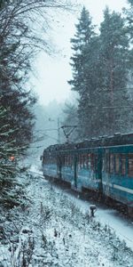 Miscellanea,Miscellaneous,Forest,Snow,Winter,Train