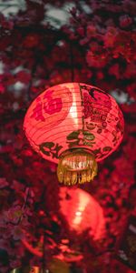 Lampe,Divers,Vacances,Lanterne,Chinois