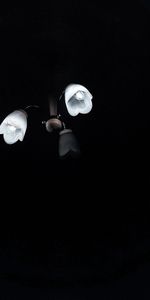 Miscellanea,Miscellaneous,Illumination,Chandelier,Lamp,Lighting