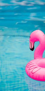 Miscellanea,Miscellaneous,Inflatable Circle,Water,Pool,Waves,Flamingo