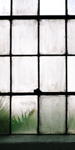 Miscellanea,Miscellaneous,Lattice,Weeping,Glass,Window,Trellis,Fogged Up