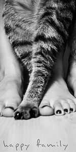 Jambes,Famille,Divers,Une Famille,Chat,Personnes