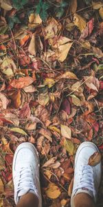 Miscellanea,Miscellaneous,Legs,Sneakers,Foliage,Autumn