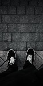 Miscellanea,Miscellaneous,Legs,Sneakers,Shoes,Tile,Grey