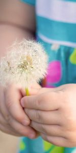 Miscellanea,Miscellaneous,Mood,Dandelion,Girl