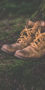 Miscellanea,Miscellaneous,Moss,Boots,Shoes,Footwear