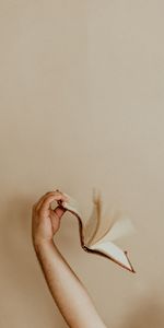 Miscellanea,Miscellaneous,Page,Hand,Book,Pages,Beige