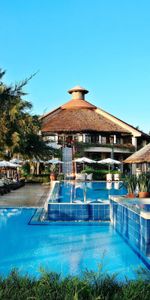 Miscellanea,Miscellaneous,Palms,Pool,Interior,House