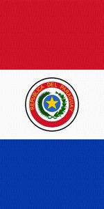 Miscellanea,Miscellaneous,Paraguay,Lines,Flag