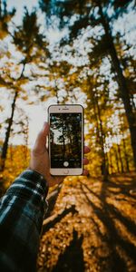 Nature,Main,Téléphone,Divers,Photo