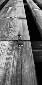 Miscellanea,Miscellaneous,Planks,Nails,Board,Wooden Floor