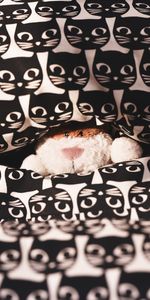 Miscellanea,Miscellaneous,Plush,Toy,Look Out,Peek Out,Pattern,Cats