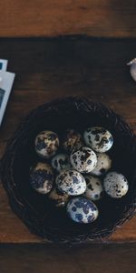 Miscellanea,Miscellaneous,Poppy,Photos,Photographs,Quail Eggs