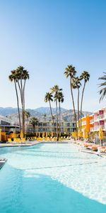 Miscellanea,Miscellaneous,Rest,Palms,Relaxation,Pool,Hotel